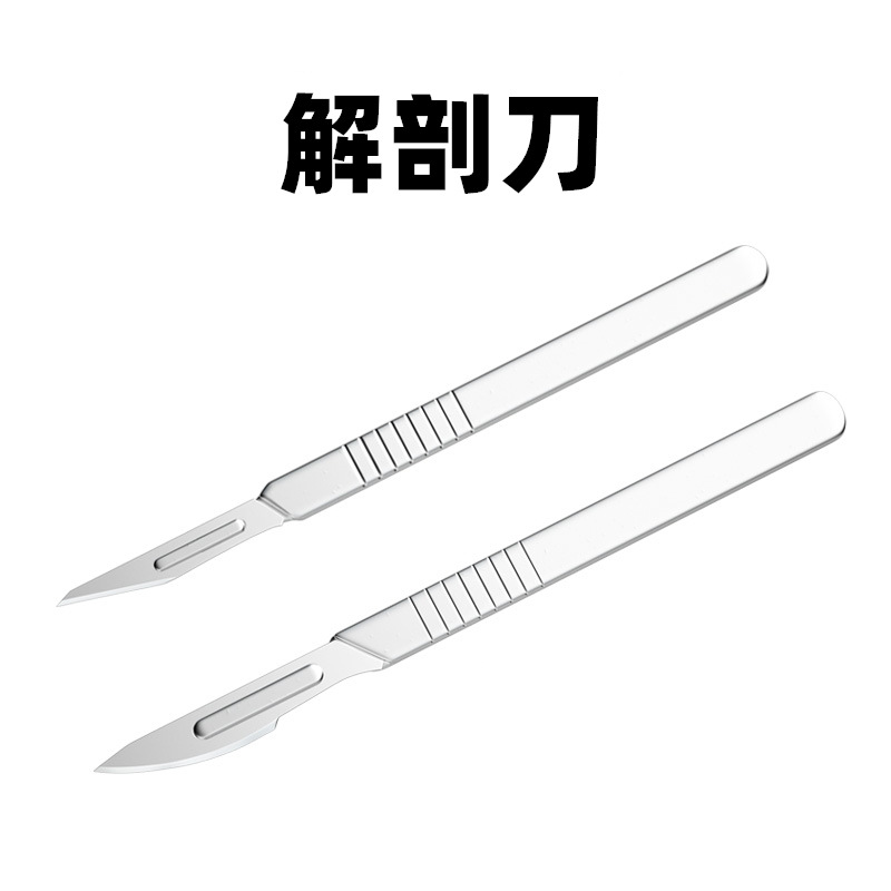 生物解剖刀 教学仪器 昆虫解剖 植物解剖刀