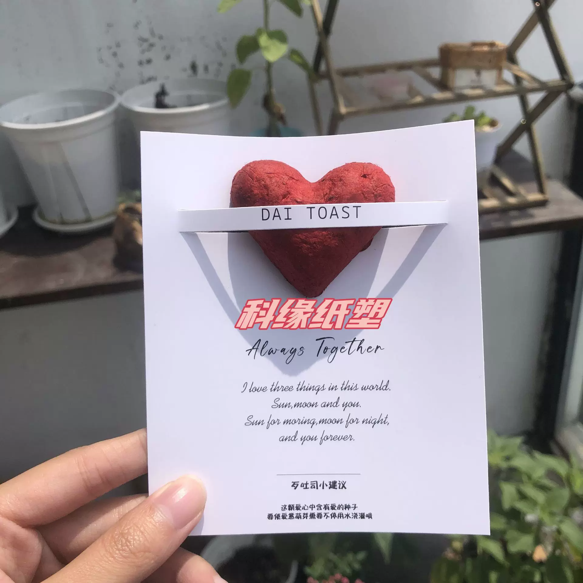 立体爱心套装情人节礼物及节假日日常礼品定制种子纸
