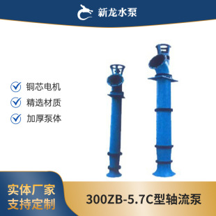 300ZB-5.7C���S������ʽ��ˮ�S���ô��������P��~݆�Bֳ��ˮ̎��