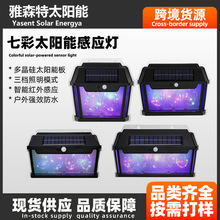 �羳�¿�ʹ�����ˮ�u�z�ڟ�ͥԺ�����Б������@Сҹ��̫��ܟ�