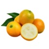 Guangxi Rong'an Crispy kumquat fresh fruit Kumquat 5 Full container wholesale