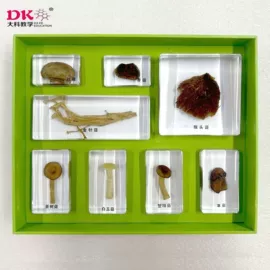 生物教学器材;教学仪器;实验室仪器
