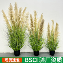 �����JȔ�پGֲ���Է��滨���k���ҾGֲ�Ҿ��b����յ������컨