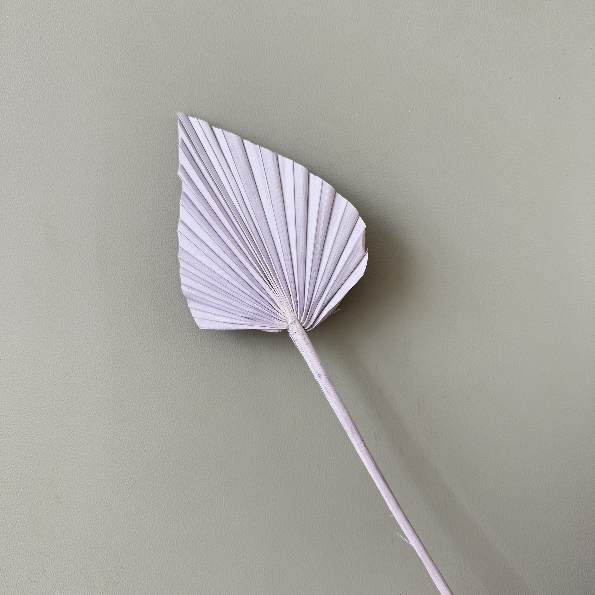 미니 라이트 퍼플