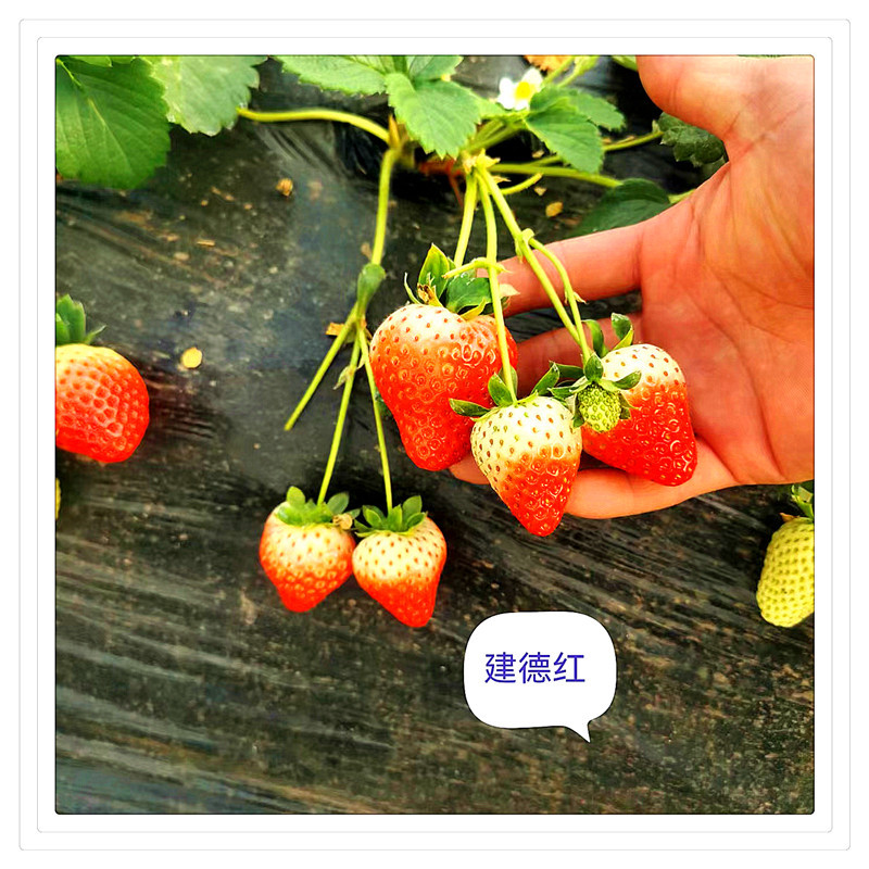 944af37422d763cd75ca15aeedff0d