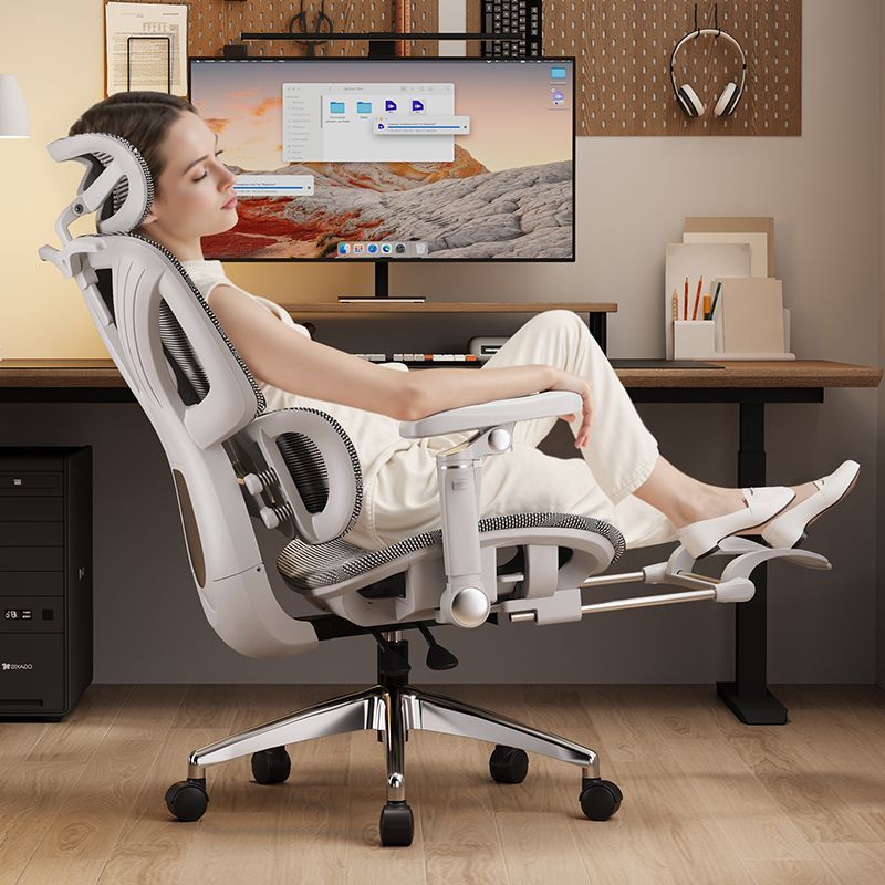 Ergonomic Chair, Computer Chair, Double-Wing Suspension Lumbar Support, Home Chair for Long Sitting, Office Chair, Gaming Chair