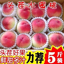 现摘桃子新鲜水蜜桃5斤应当季水果整箱脆甜毛桃孕妇当季红蜜桃