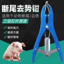 猪弹力断尾圈断尾钳现货扩张钳猪羊断尾巴钳子羊用去势圈钳去势钳