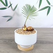 �F�䌚�������K�F�����҃���������ʽ�辰���s���W�Ҿ��k�����b�