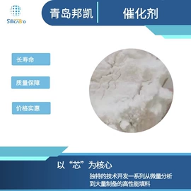 硅胶;层析板;催化剂用载体