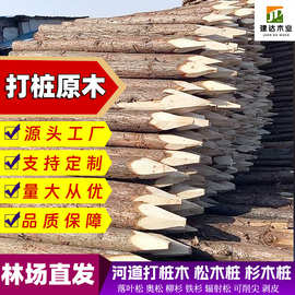 林场直发河道打桩木松木桩水利工程围堰护坡杉木桩地基原木可削尖