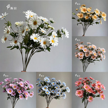 6�^�r�շ��滨�Ҿ��b�����յ��߻�c��Y���������ٻ���������