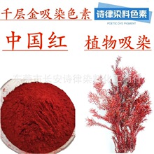 ����ǧ�ӽ� ��Ⱦɫ�� ��ȸ����տ�o���� ɫ���r�G��Rȫ