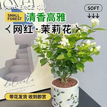 �ذ����򻨝����ͻ����辰�������ԾGֲ����x�ļ��_�����B����