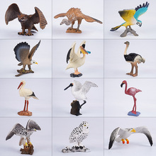 實心仿真鳥類玩具動物模型鸚鵡貓頭鷹火烈鳥飛禽套裝兒童認知禮物
