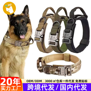 �����������g�Ȧ���ⲱȦ�Ӻ����Ȯ�����չ��������Q���l�F؛