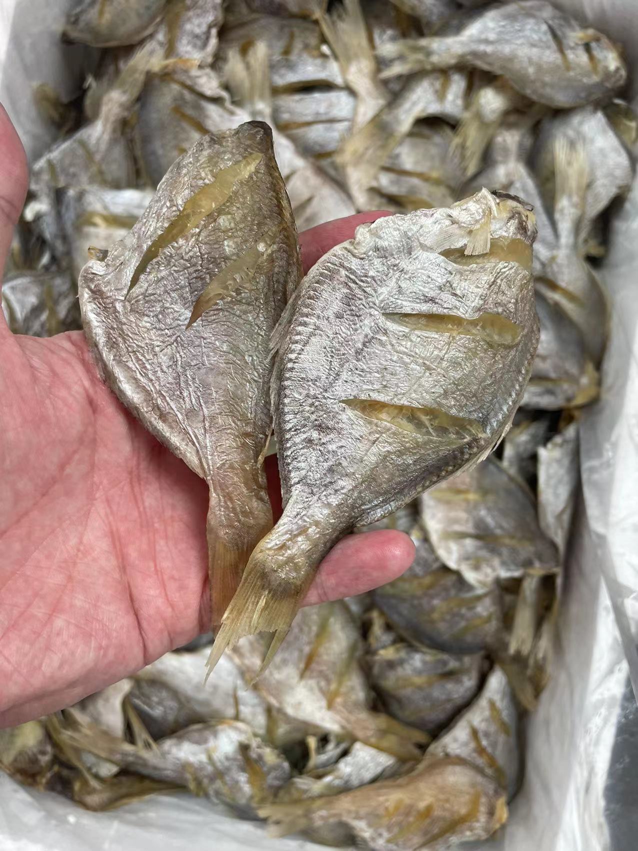 微信图片_20220608113004