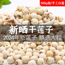 莲子干去芯磨皮百合干官方旗舰店龙牙银耳熬粥泡茶羹食用枸杞养生