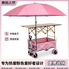 摆摊小推车地摊折叠桌露营烤肠专用移动野餐夜市户外露营车遮阳伞