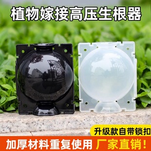 ֲ��߉��޽Ӻи߉���ֳ������ֲ���������B��Ǥ������������ֳ��