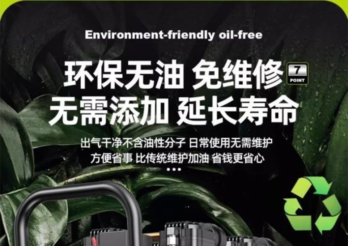 Oil-free low-noise air compressor, small 220v high-power air compressor for woodworking and high-pressure painting, in stock