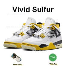 �F؛�羳���Q����ڰ���؈��ɫ������ĥ����ٴ�߰汾��H�@��Ь