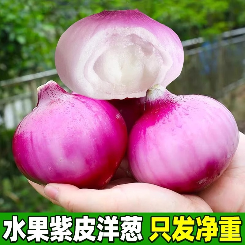Authentic Fresh Purple-Skinned Onions, Sweet and Raw, Farm-Grown Vegetables, Round Onions, Green Onions, Freshly Dug 2.5kg