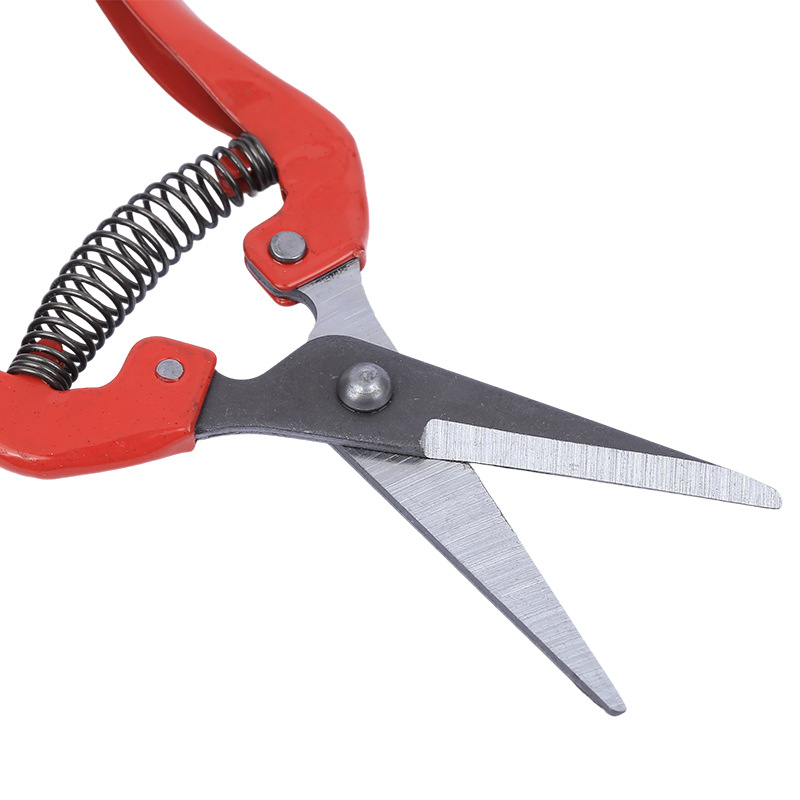 Fábrica de tijeras de corte de frutas delgadas de acero inoxidable tijeras de recoger ramas de árboles frutales tijeras de jardinería bonsai tijeras