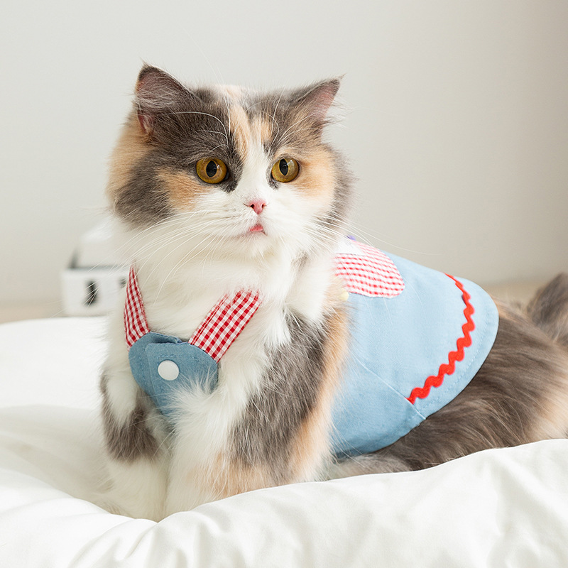 Cute gato primavera y verano bolsillo de cuadrícula vaquero osos correa falda perro princesa vestido de gato mascota ropa