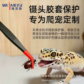 镊子;假睫毛;假睫毛镊子