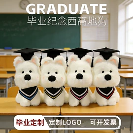 毛绒玩具;公仔挂件;公仔抱枕