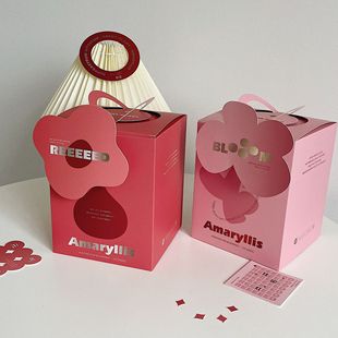 Ins Style New Year 2024 Gift Box Niche Stereo Special-Shaped Candy Snacks New Year Custom Gift Box Empty Box