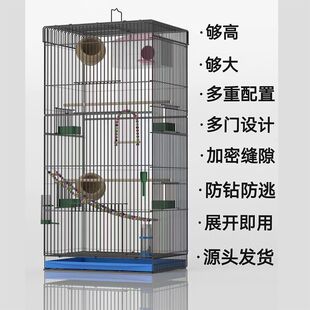 �B�\�Ӽ���̖�����W�^�B�e����Ƥ���Pĵ���W�^�Ӹ߼Ӵ��wԣ��