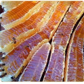 蜂蜜;香皂、皂花;其他蜂产品