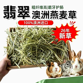 兔子主粮;狗狗窝/笼/垫;猫抓板