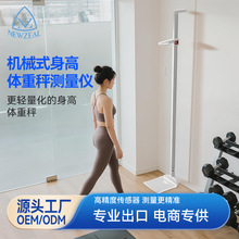 机械式身高体重秤外贸身高尺学生成人体检专用智能身高体重测量仪