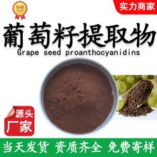 葡萄籽提取物原花青素95%OPC原花青素吨位现货厂家供应葡萄籽提取