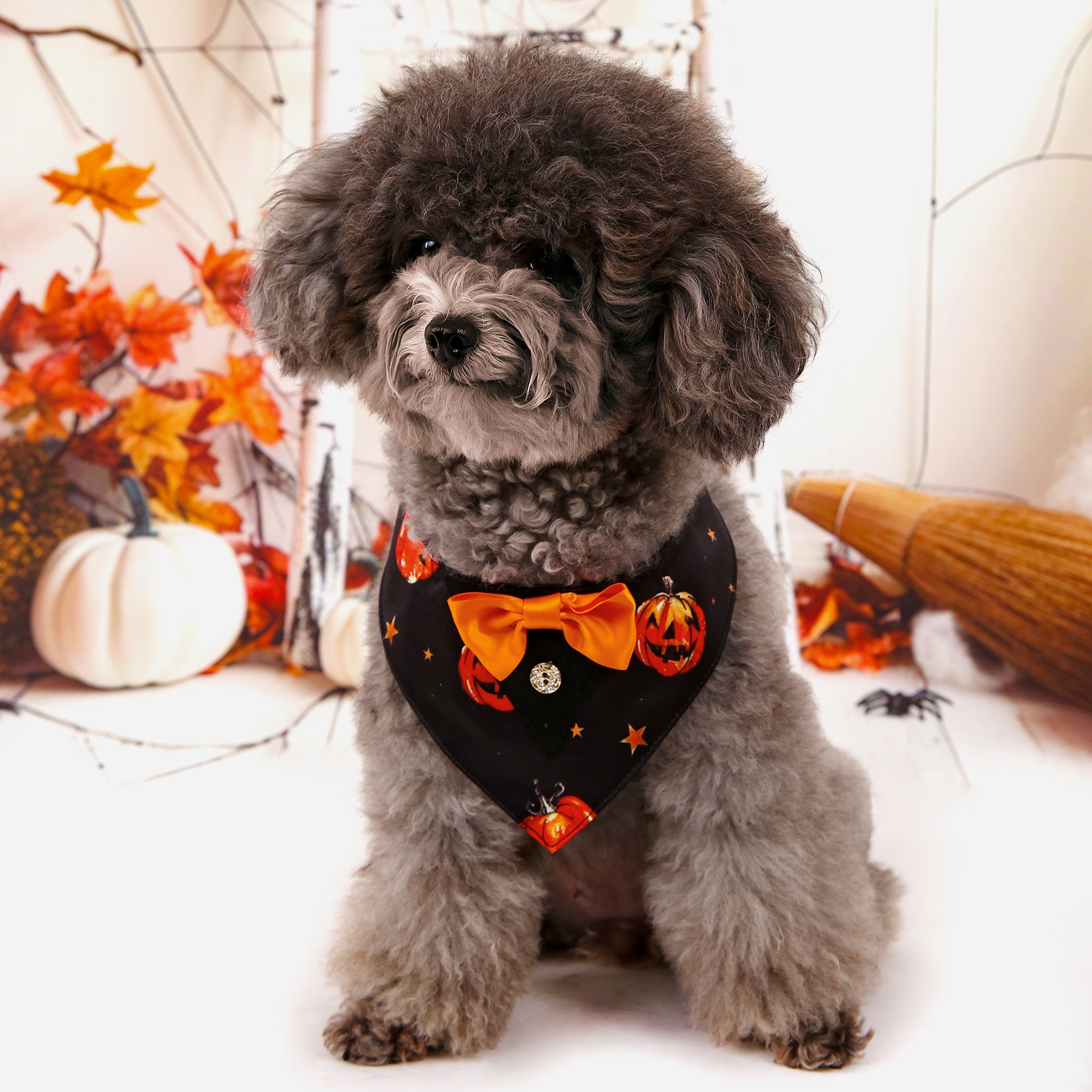 Halloween nuevo traje de mascotas toallas triangulares toallas de saliva collar de mascotas fábrica de ropa de perro en stock