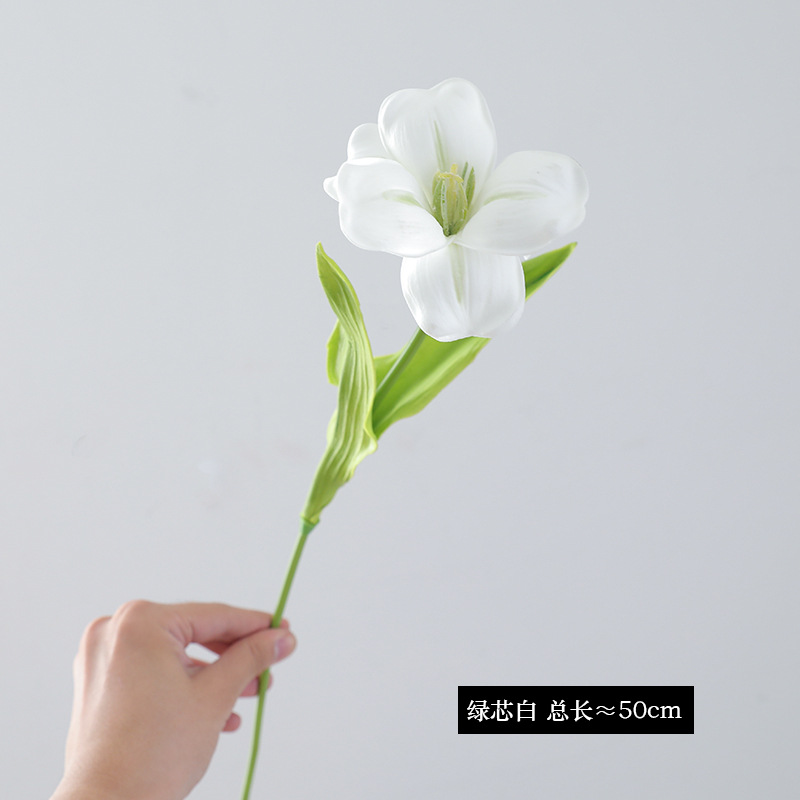 그린 코어 화이트