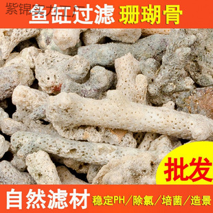 ɺ���ǞV���~��ɳ�^�V����ɺ��ʯ�~�ص�ɰ�쾰���l�羳���N���ȯ