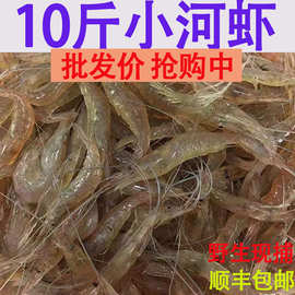 野生小河虾鲜活淡水活虾现冻小白虾草虾明虾青虾虾米可食用