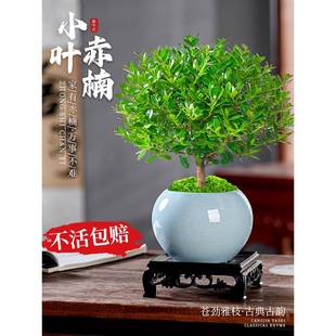 С�~����Ϙ��辰��ֲ��͏d�k���҃�����U��GֲС�����ļ����B