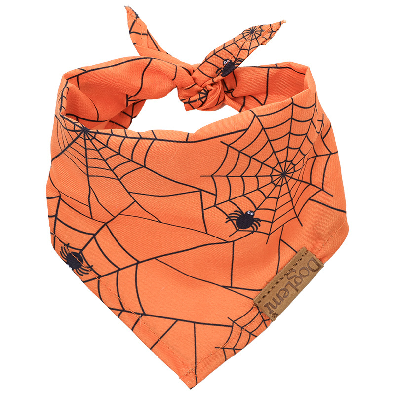 Оранжевый паук