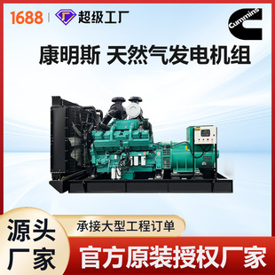 800kwǧ��ȼ����Ȼ��l늙C�M �tԺ�����Դ����˹��ȼ��l늙C