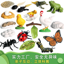 �羳���挍�Ą�����L����ģ�͹��u��������ư�xΛρ��ͯ�J֪�[��