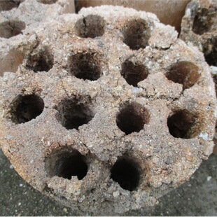 ��Cú��ú̿��ú�Ҡt�����m���I�B��͸���w���S��ֱ�Nһ�������l