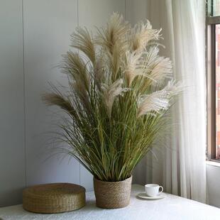 ���JȔ�JȔ�ɻ��[�O�ٻ��٘���Ȼ�L�ɾGֲ�[���쾰