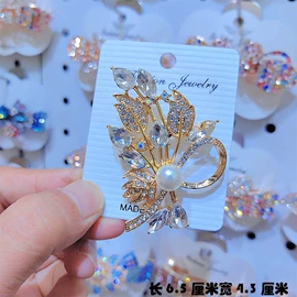 胸针;发夹;胸饰