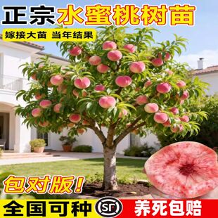 �Ҙ���ˮ���������ڷ�o�a�ɽˮ��������Ҙ�޽ӵ��Ԯ���Y��