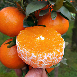 �F؛����o���ָ̘��� �޽ӹ��������� ��֭����091�ָ̹�����